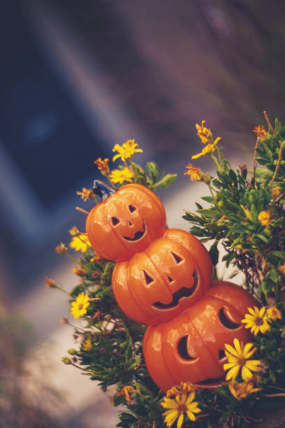 halloween jack o'lantern en pot de fleur bord de stoop - front stoop photos et images de collection