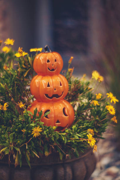 halloween jack o'lantern en pot de fleur bord de stoop - front stoop photos et images de collection