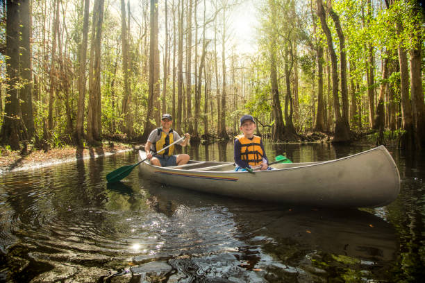 Father and son canoeing together in a tropical river stock photo