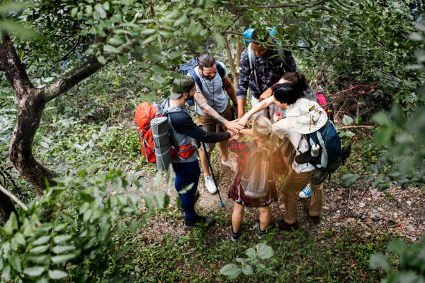 istock Trekking together in a forest 935909188