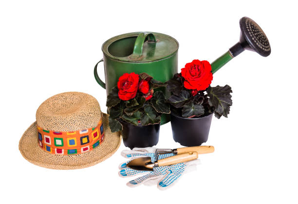 istock Watering can, hat, seedlings flowers and gardening tools 935909596