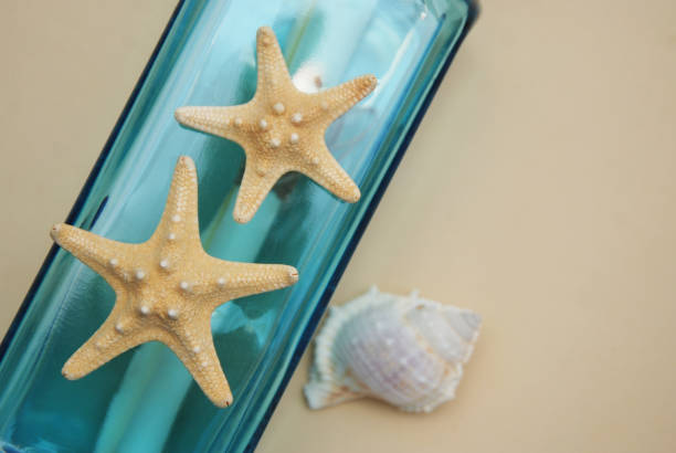 istock Nautical Theme Backdrop, Decorative Bottle with Shells, Starfish on Neutral Ivory Background. Place for text. Selective focus. 935919438