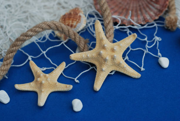 istock Starfish, Shell, Stones, Rope and Net Against a Blue Background with Copy Space. Summer Holliday. Nautical, Marrine concept. 935921668