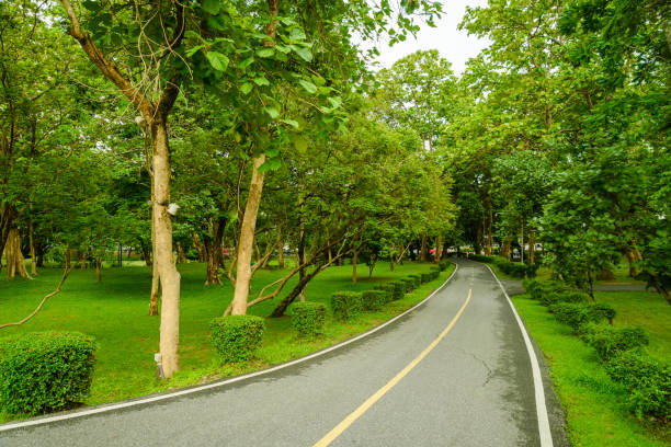 The way in the park with tree for exercise and relax