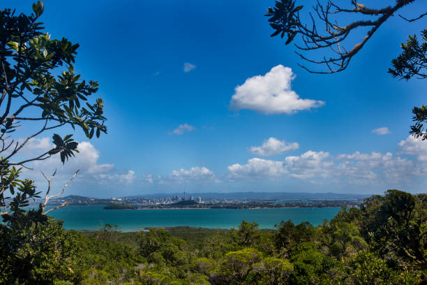 Auckland City