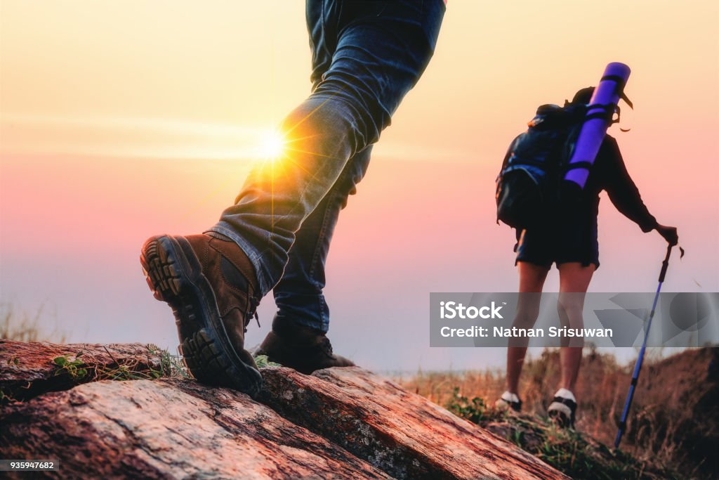 Randonnées pédestres dans la forêt pendant l’été. - Photo de Randonnée pédestre libre de droits