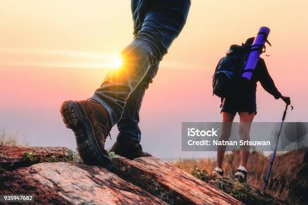 Photo libre de droit de Randonnées Pédestres Dans La Forêt Pendant Lété banque d'images et plus d'images libres de droit de Randonnée pédestre - Randonnée pédestre, Tourisme vert, Été