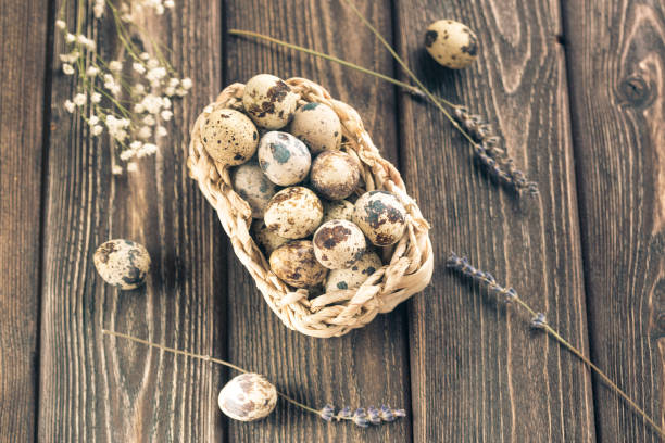 istock Quail eggs in basket on white concrete desk. Space for text. Rustic style. Top view. Dried lavender flowers. Easter 935967204
