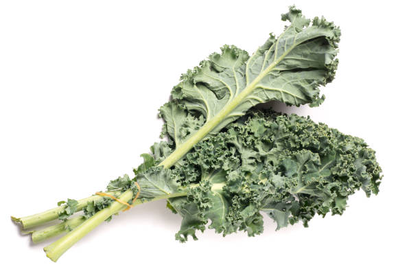 istock Organic healthy green Kale 935975472