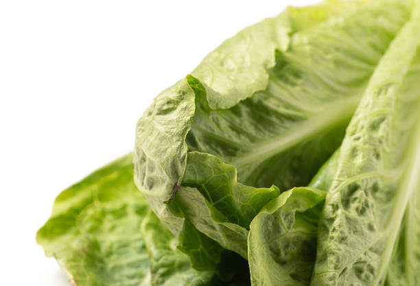 istock Close up of Lettuce 935975488