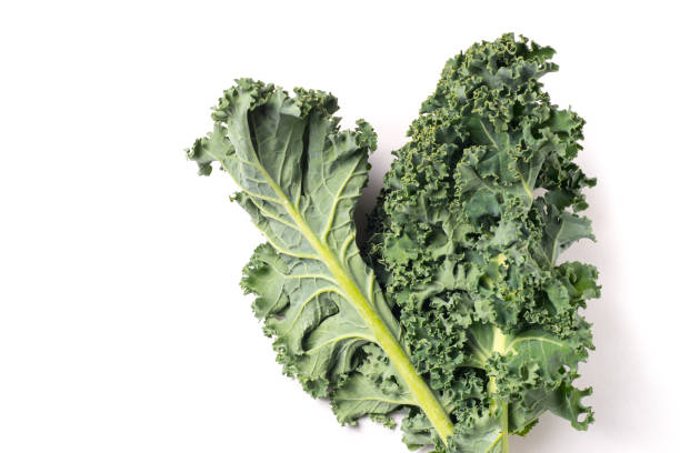 istock Organic healthy green Kale 935975490