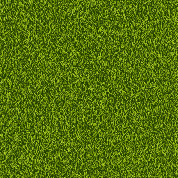 Textura Pasto Vectores Libres de Derechos - iStock Textura Pasto Vectores Libres de Derechos - iStock