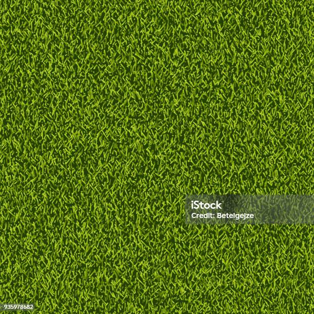 Vector Green Grass Lawn Seamless Texture Spring Or Summer Nature Background Field Or Meadow Realistic Illustration Stock Illustration - Download Image Now