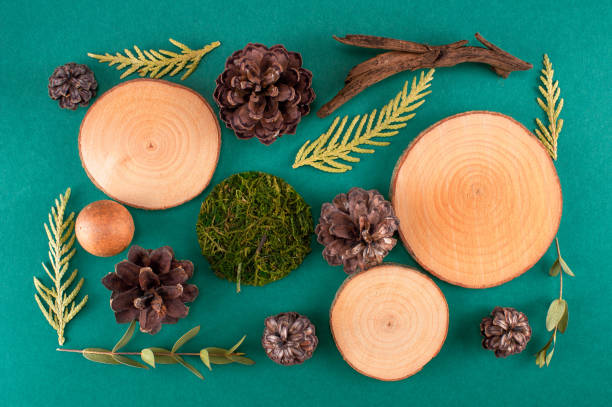 Abstract composition with elements of nature on green background