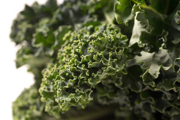 istock Organic green kale close up 935979350