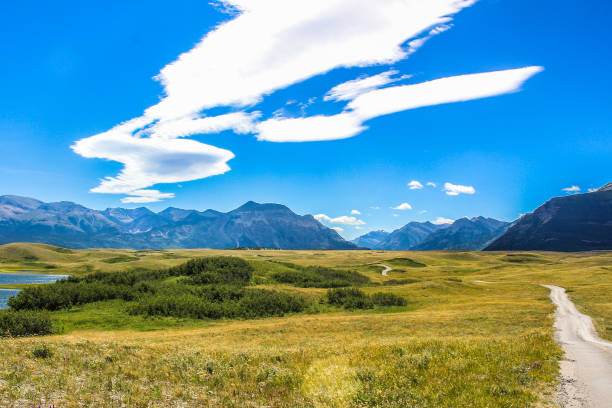 istock Green Fields, Dirt Roads, and Blue Skies 935986458
