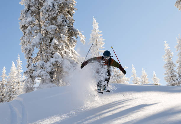 istock Free skier riding in a deep and light powder snow among trees 935989974
