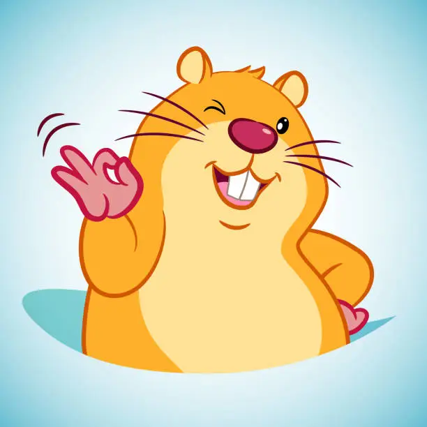 Vector illustration of OK Gesture Groundhog Cartoon Character