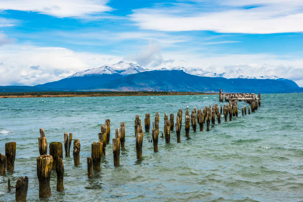 Old pier in Puerto Natales stock photo