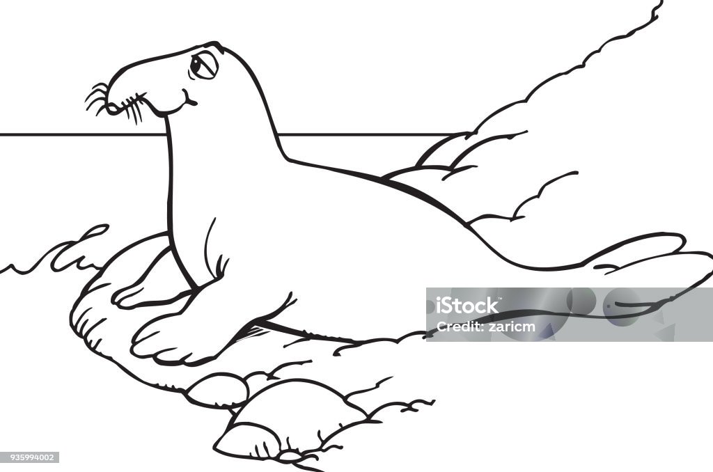 Walrus Animal stock vector