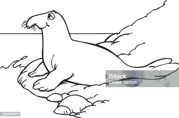 Walrus Stock Illustration - Download Image Now - Animal, Animal Wildlife, Arctic