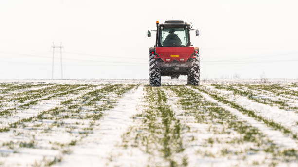 istock Farmer with tractor seeding - sowing crops at agricultural fields in winter - snow 936004122