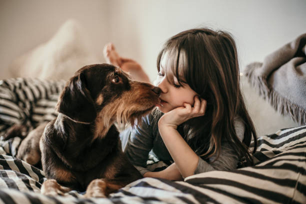 小さな女の子とベッドで彼女の犬の肖像画 - child house dog bed ストックフォトと画像