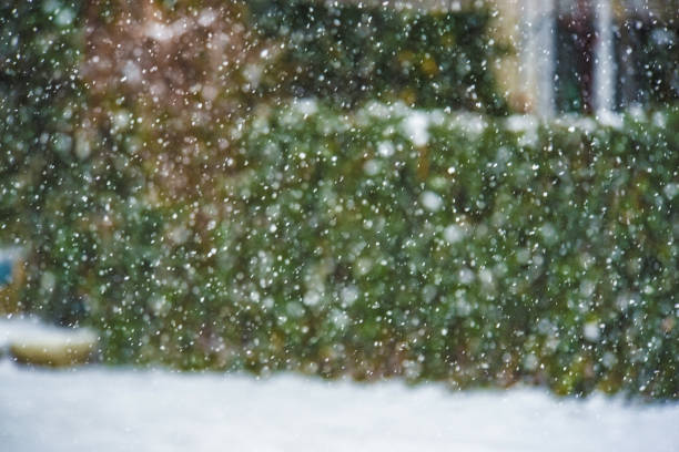 istock winter snow-covered courtyard of the old town 936023190