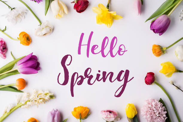 istock Easter and spring flat lay on a white wooden background. 936027566