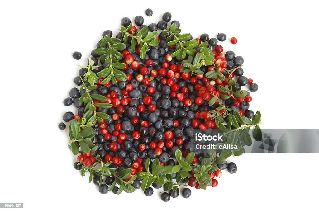 Bilberries y cranberries - Foto de stock de Arándano - Fruta libre de derechos