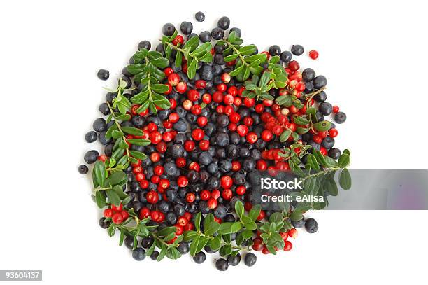 Bilberries Y Cranberries Foto de stock y más banco de imágenes de Arándano - Fruta - Arándano - Fruta, Alimento, Arándano rojo - Fruta baya