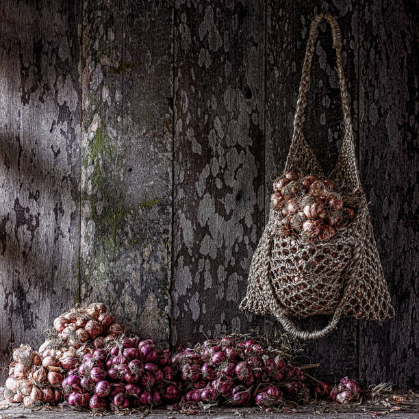 colorido secas tailandês magenta chalotas pendurado em um saco de corda de cânhamo e outros tipos diferentes de cebolinha e alho, sentado em uma mesa de madeira velha contra uma velha madeira com painéis de parede. - garlic hanging string vegetable - fotografias e filmes do acervo