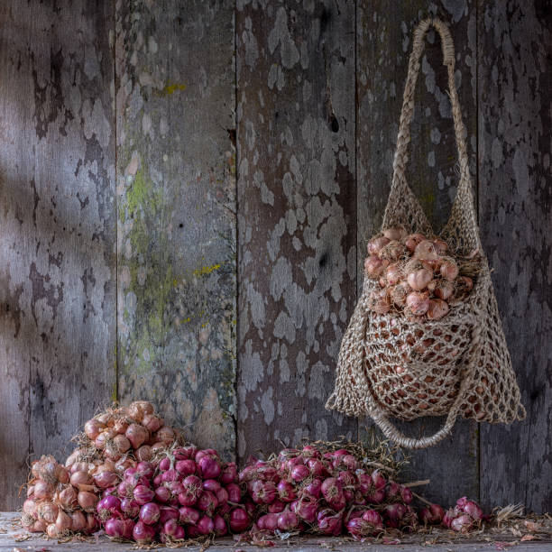 colorful dried thai magenta shallots hanging in a hemp string bag and other different types of shallots and garlic sitting on an old wooden table against an old wood paneled wall. - garlic hanging string vegetable imagens e fotografias de stock