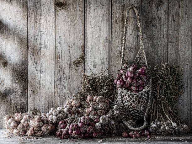 colorful dried thai magenta shallots hanging in a hemp string bag and other different types of shallots and garlic sitting on an old wooden table against an old wood paneled wall. - garlic hanging string vegetable imagens e fotografias de stock