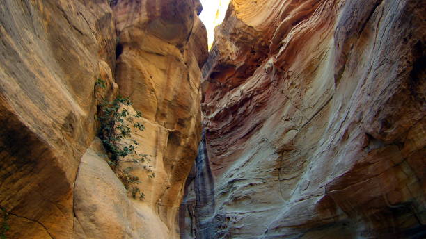 istock Long curved yellow bent narrow canyon 936077912