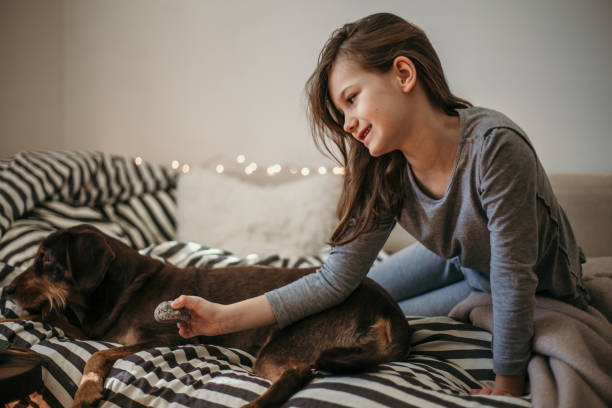 istock Little girl feeds her dog with cookie 936081848