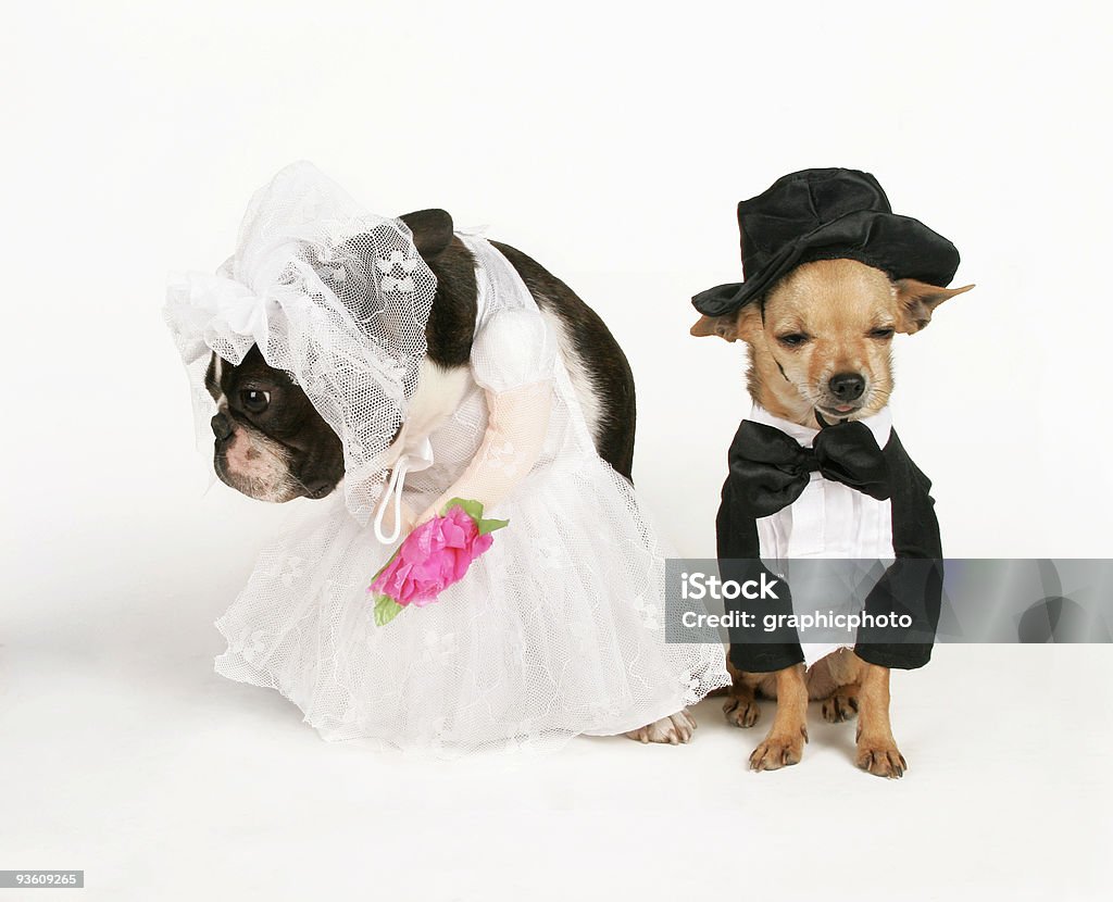 wedded bliss  Divorce Stock Photo