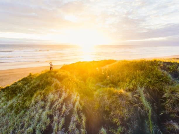 Aerial view of Muriwai Beach, Auckland, New Zealand.