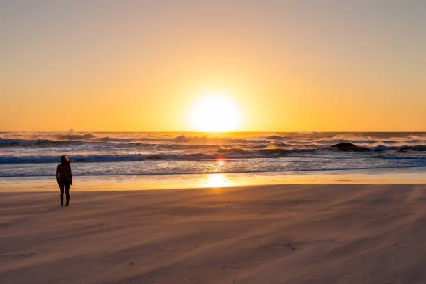 istock Silhouette girl watching a sunset on a sandy beach 936093462