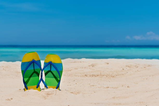 istock sandal flipflops on a sandy ocean beach with blue sea and blue background 936098632