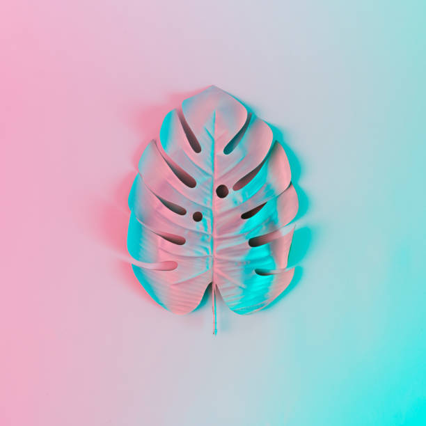 istock Tropical leaf in vibrant bold gradient holographic colors. Concept art. Minimal surrealism. 936098964
