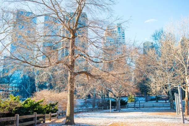 istock Beautiful Central Park in New York City 936101314