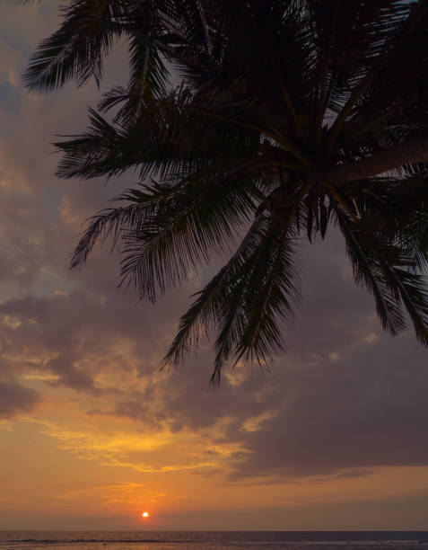 istock Sunset on the shore of the Indian Ocean. 936101500