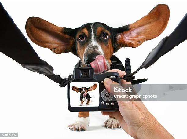 Taking A Photo Stock Photo - Download Image Now - Device Screen, Dog, Licking