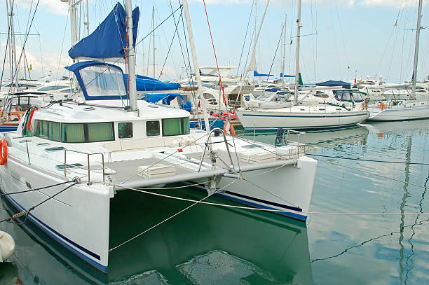 istock Catamaran and docked boats 93610753