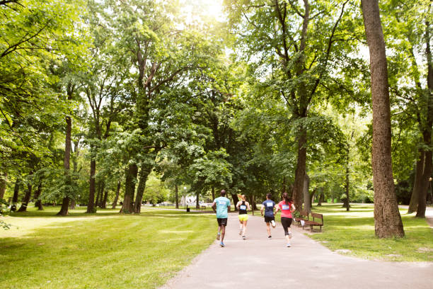 istock Group of young athletes running in green sunny park. 936116600