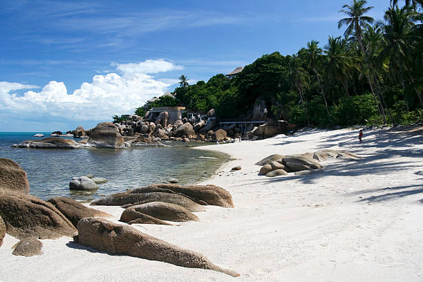 istock luxury resort beach koh samui thailand 93611758