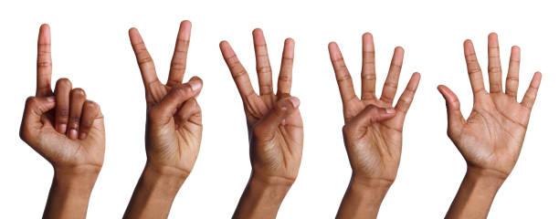 istock Collage of african-american hands counting 936120506