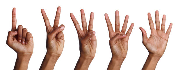 kolaż afroamerykańskich rąk liczących - five people zdjęcia i obrazy z banku zdjęć
