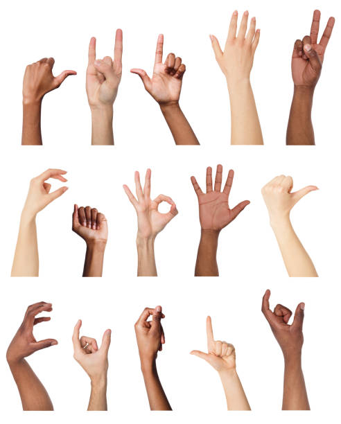 istock Set of various hand gestures isolated on white 936120544